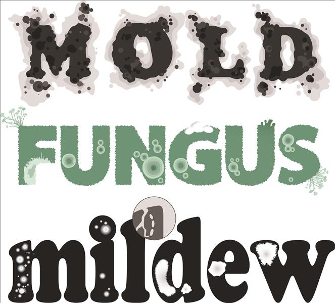 "Mold, fungus, mildew"